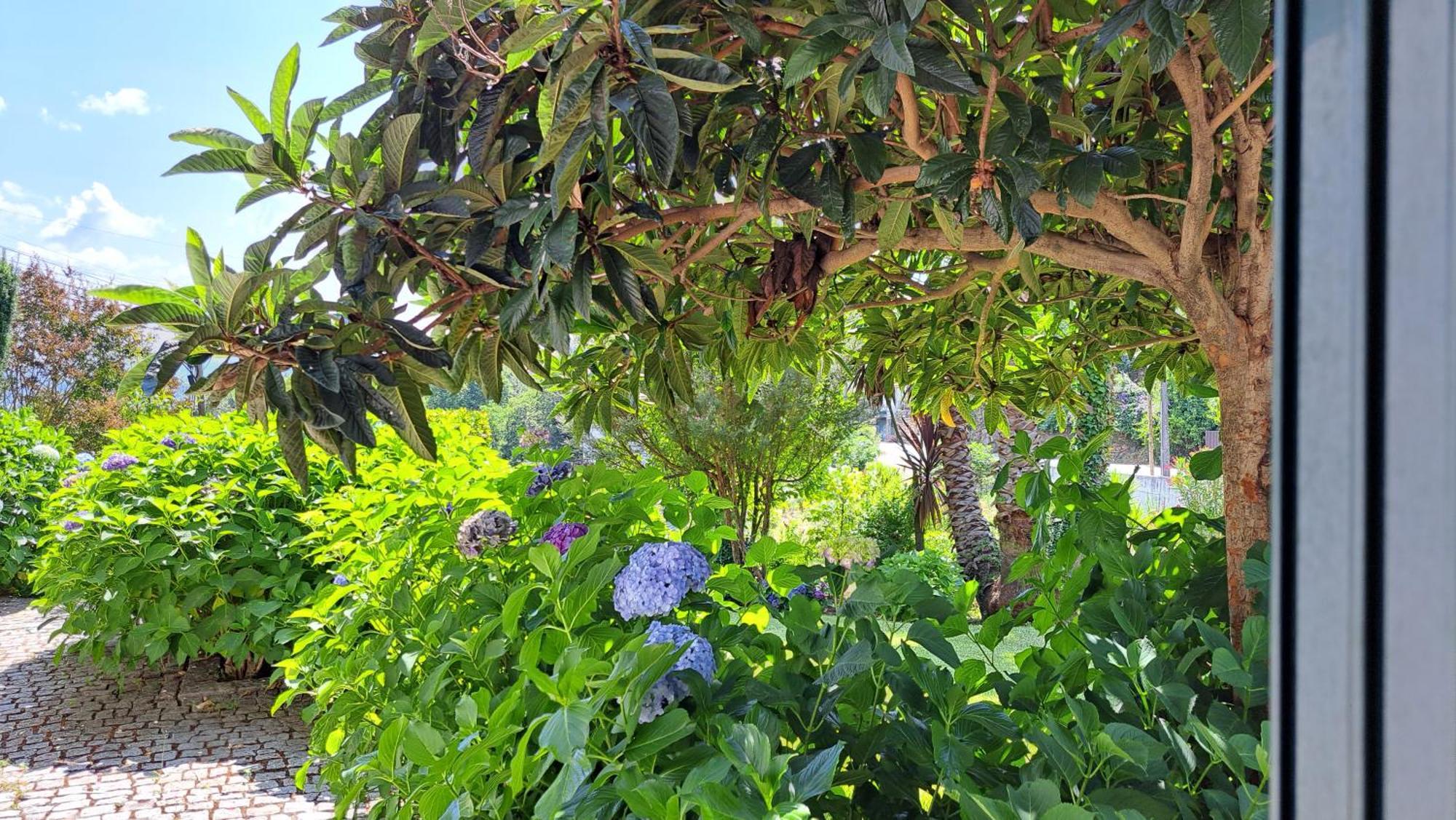 Casa Pinho Konuk evi São Pedro do Sul Dış mekan fotoğraf