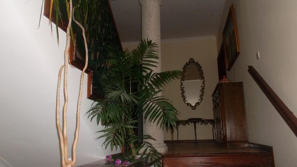 Casa Pinho Konuk evi São Pedro do Sul Dış mekan fotoğraf